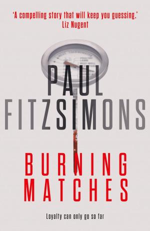 bigCover of the book Burning Matches by 
