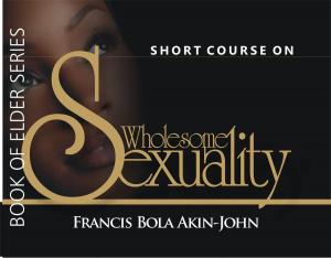 Cover of the book Short Course on Wholesome Sexuality by Scott M. Shafer