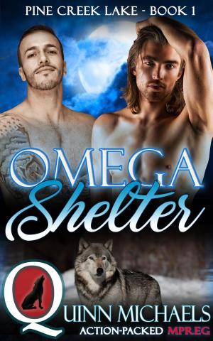 Cover of the book Omega Shelter by Jade Astor