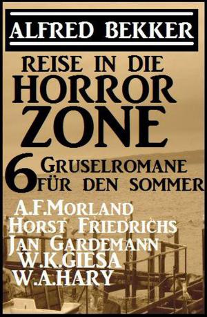 Cover of the book Reise in die Horror-Zone - 6 Gruselromane für den Sommer by Wilfried A. Hary, Marten Munsonius