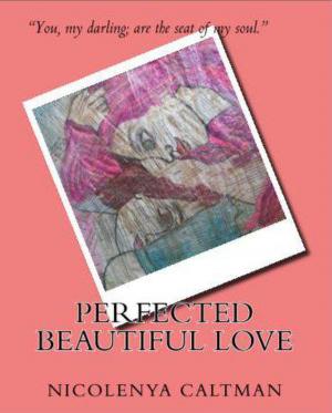 Cover of the book Perfected Beautiful Love by Margaret Hawkins