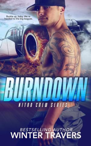 Cover of the book Burndown by Cassandra Hake