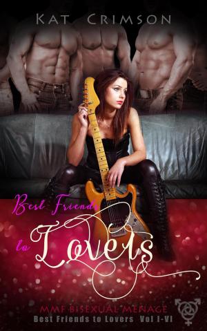 Cover of the book Best Friends to Lovers Box Set Vol. 1-6 by James Noll