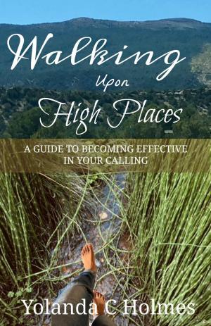 Book cover of Walking Upon High Places