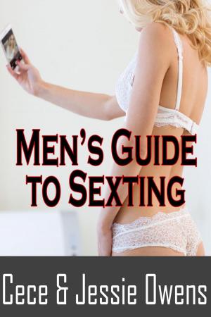 Cover of Men's Guide to Sexting: Light Her Fire, Rekindle the Romance and Turn On Your Wife With Text
