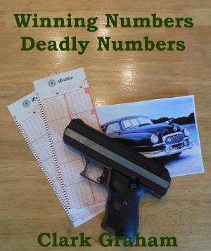 bigCover of the book Winning Numbers, Deadly Numbers by 