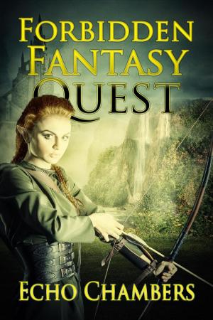 Cover of the book Forbidden Fantasy Quest by Leah White