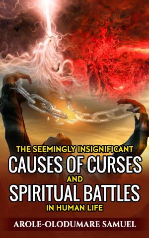 Book cover of The Seemingly Insignificant Causes Of Curses And Spiritual War In Human Life