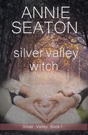 Cover of the book Silver Valley Witch by Annie Seaton