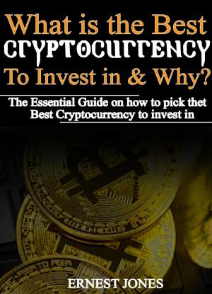 Cover of the book What is the Best Cryptocurrency to Invest in and why? by Sylvie McCracken