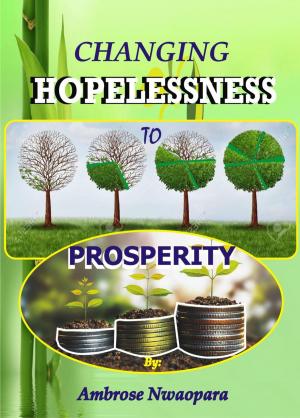 Cover of the book Changing Hopelessness to Prosperity by K. L. Martin
