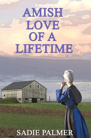 Book cover of Amish Love of a Lifetime