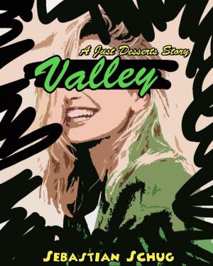 bigCover of the book Valley - A Just Desserts Story by 