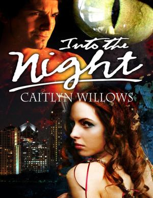 Cover of the book Into the Night by Caitlyn Willows