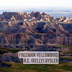 bigCover of the book Freeman Yellowbird by 