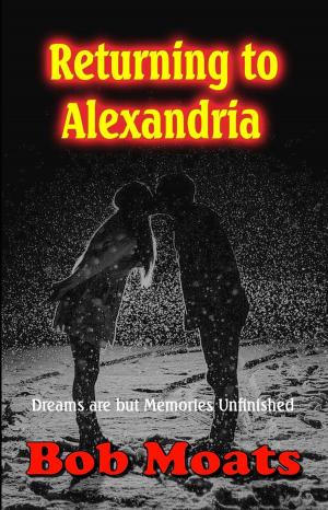 Book cover of Returning to Alexandria