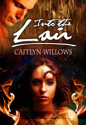 Cover of the book Into the Lair by Caitlyn Willows