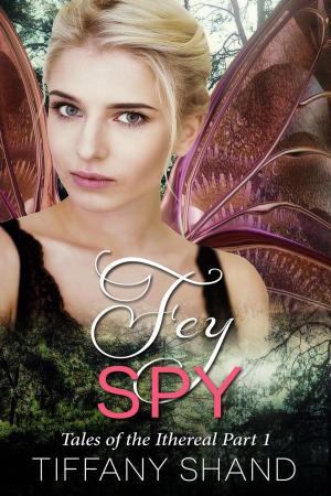 Book cover of Fey Spy