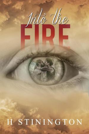 Cover of the book Into the Fire by Britni Hill