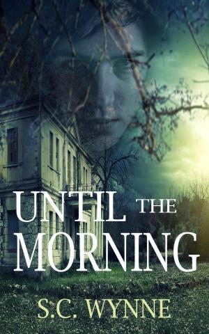 Cover of the book Until the Morning by Kay Hemlock Brown