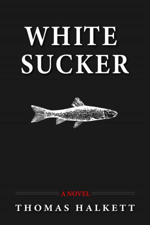 Cover of the book White Sucker by Georgia Stockholm