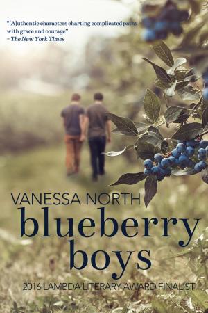 Book cover of Blueberry Boys