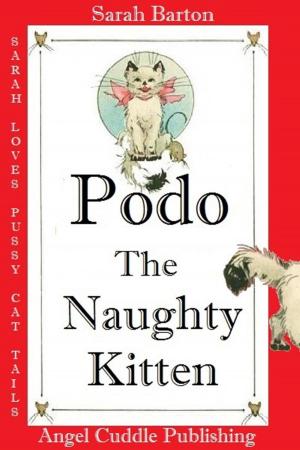 Book cover of Podo The Naughty Kitten