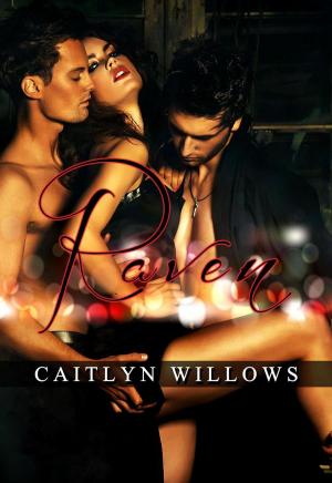 Cover of the book Raven by Caitlyn Willows