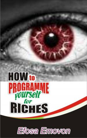 Cover of How to Programme Yourself for Riches