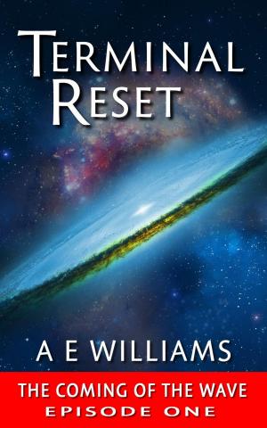 Book cover of Terminal Reset - The Coming of The Wave - EPISODE ONE