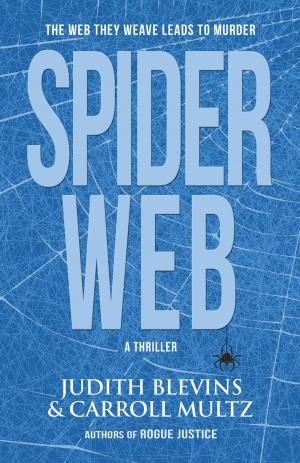 Book cover of Spiderweb