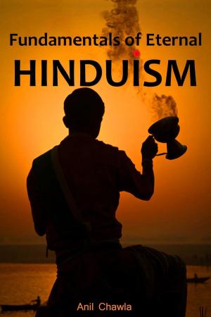 Book cover of Fundamentals of Eternal Hinduism