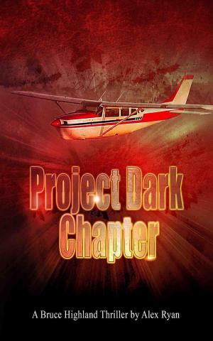 Cover of the book Project Dark Chapter by Kat Hollinghead
