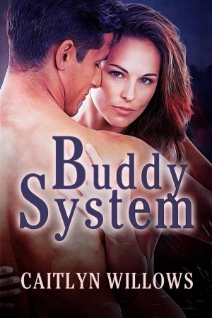 Cover of the book Buddy System by Caitlyn Willows