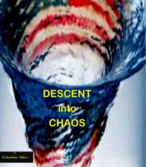 Book cover of Decent into Chaos