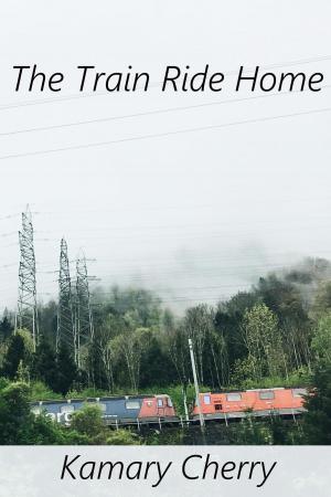 Cover of the book The Train Ride Home by Rick Barry