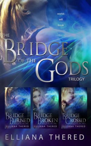 Cover of the book Bridge of the Gods Trilogy Box Set by HARUMI BENISAKO
