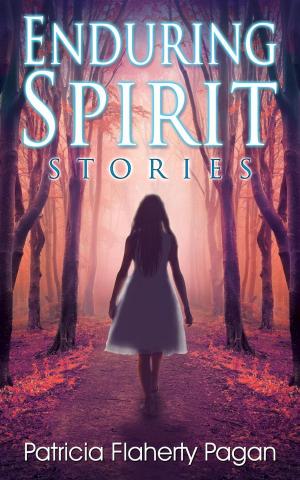 Cover of the book Enduring Spirit: Stories by Berkeley Hunt