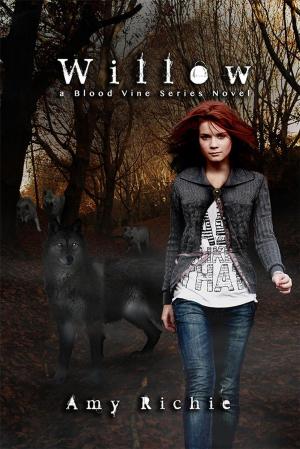 Cover of the book Willow by Jon Griffin