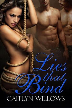 Cover of the book Lies That Bind by Caitlyn Willows