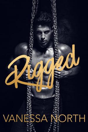 Book cover of Rigged