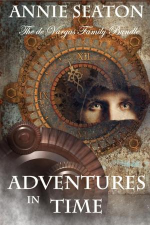 bigCover of the book Adventures in Time by 
