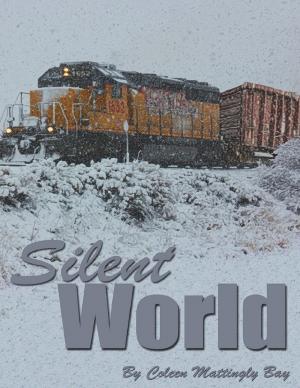 Cover of the book Silent World by Gans Kolins