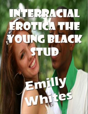 Cover of the book Interracial Erotica the Young Black Stud by Victoria Shepherd