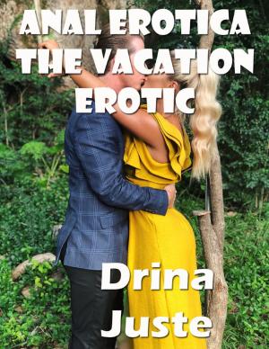 Cover of the book Anal Erotica the Vacation Erotic by Alexander Lőrincz