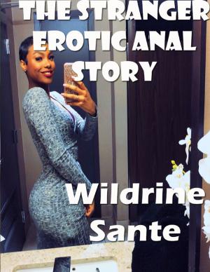 Cover of the book The Stranger Erotic Anal Story by Isis Cole