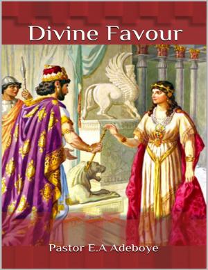 Book cover of Divine Favour
