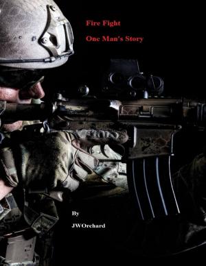 Cover of the book Fire Fight One Man's Story by Brandon Hoffman, Andrew Burke, Braden Shepherd