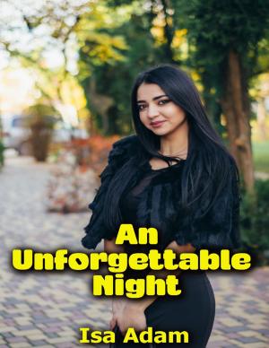 Book cover of An Unforgettable Night