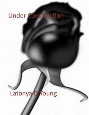 Cover of the book Under Construction by Lisa Sa